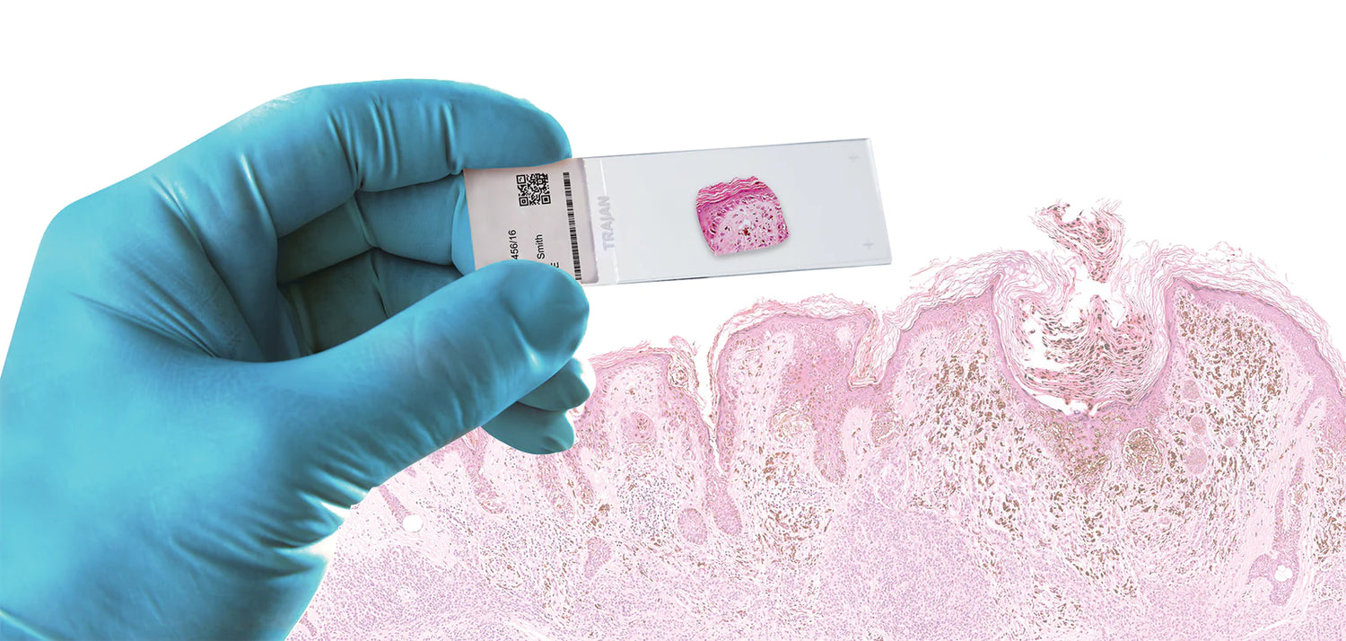 Trajan celebrates International Pathology Day with ScyTek Laboratories to deliver quality IHC solutions