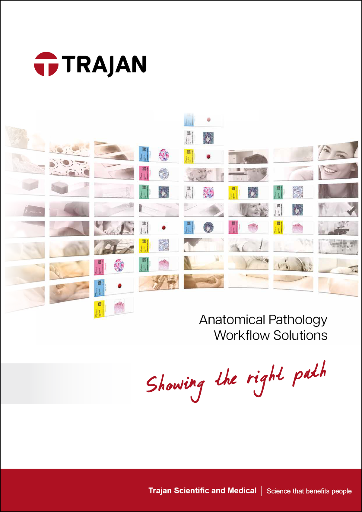 Brochure - Pathology Catalogue