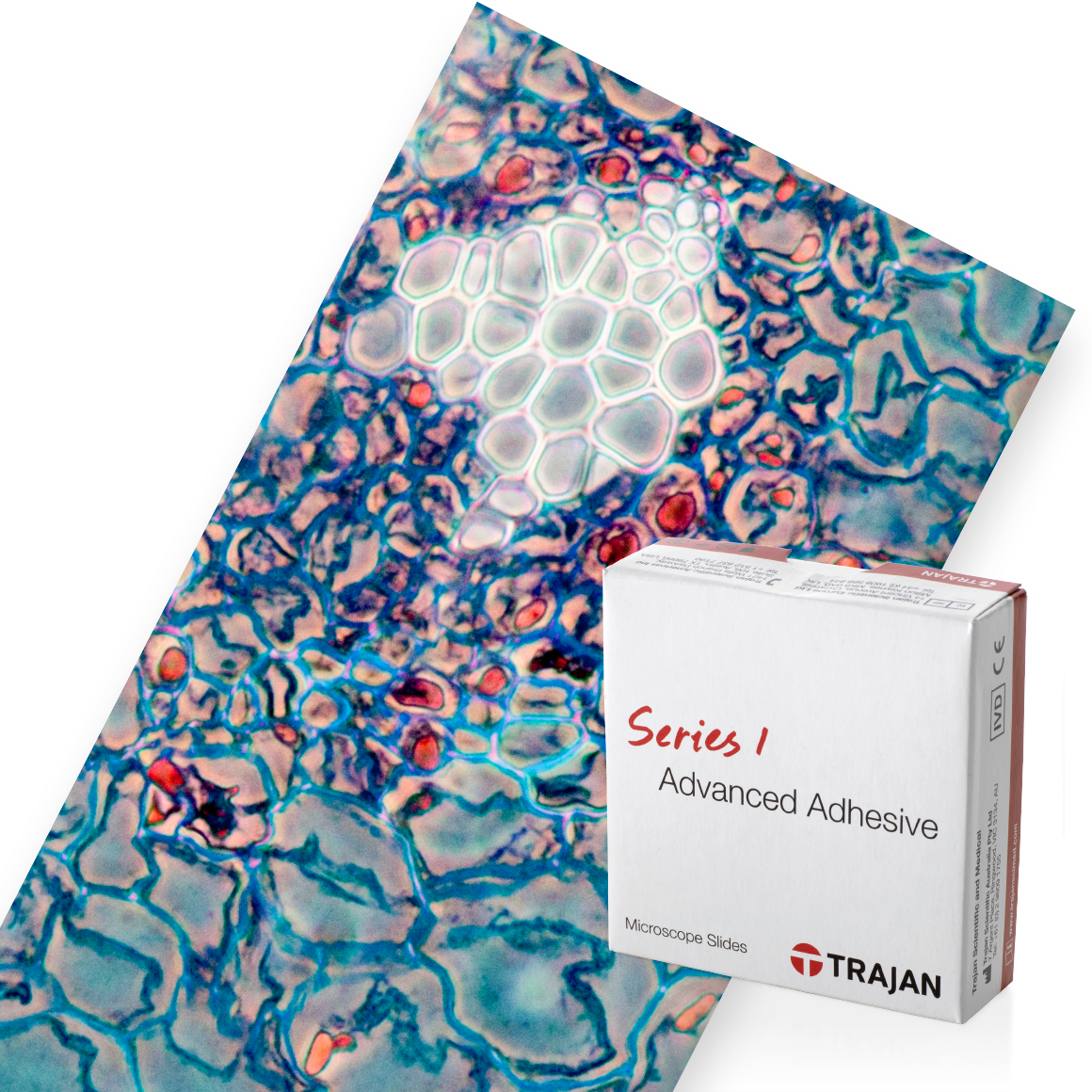 Trajan Series 1 Advanced Adhesive Microscope Slides