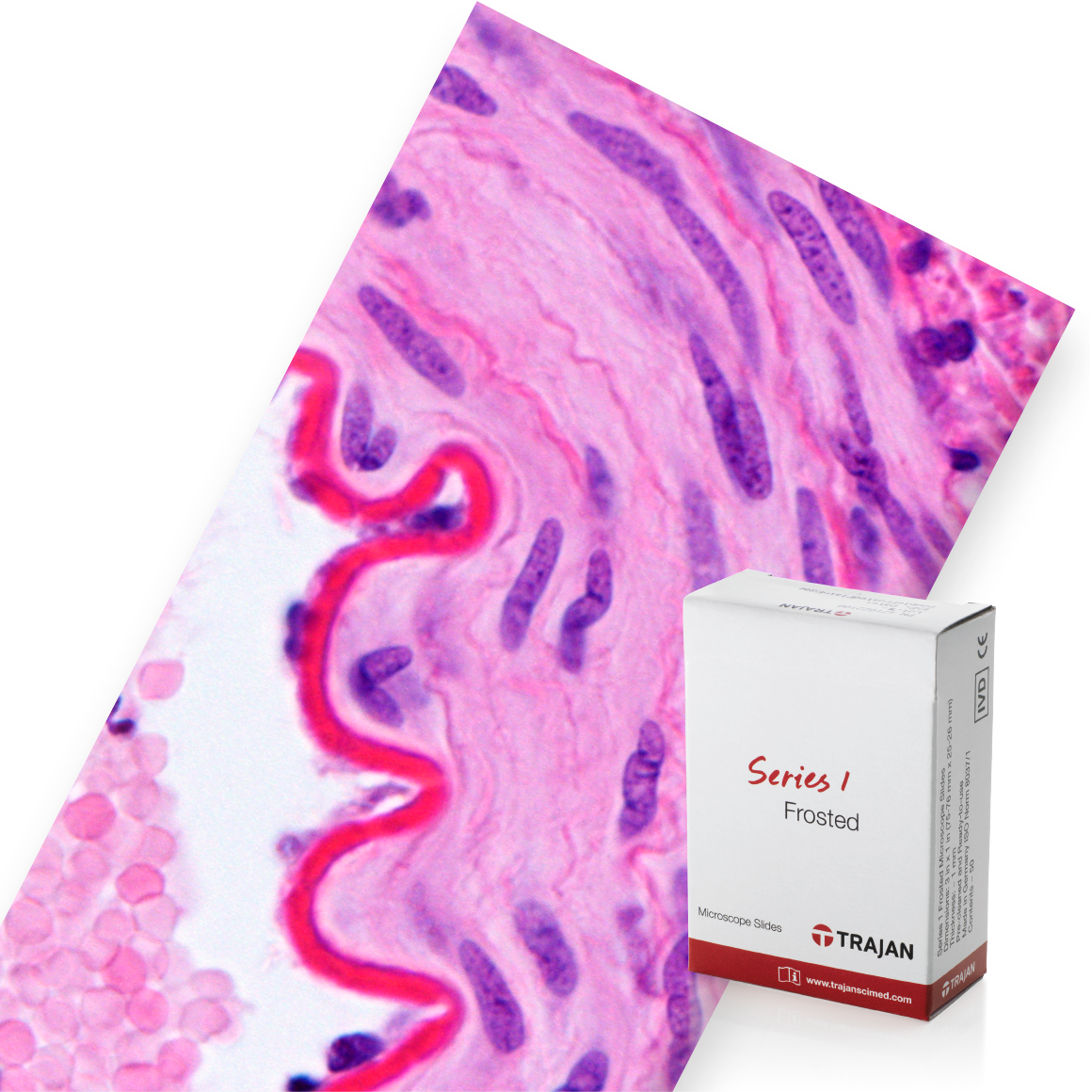 Trajan Series 1 Frosted Microscope Slides