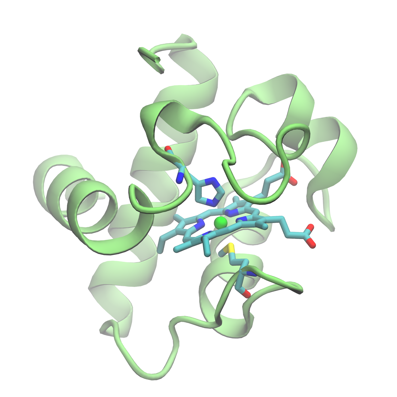 Structure of Cytochrome C6 from Chlamydomonas reinhardtti (PDB:1cyj)