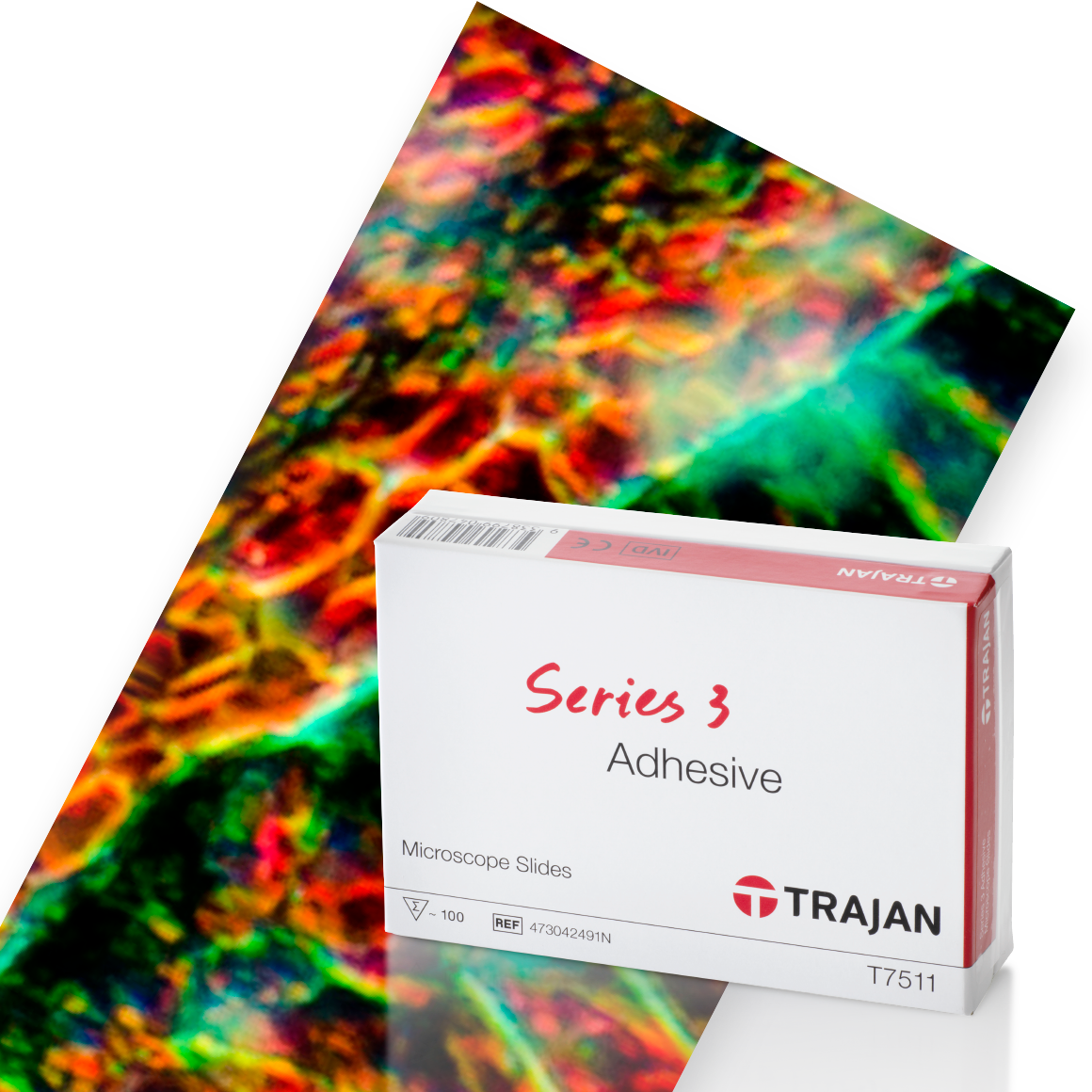 Trajan Series 3 Adhesive Microscope Slides